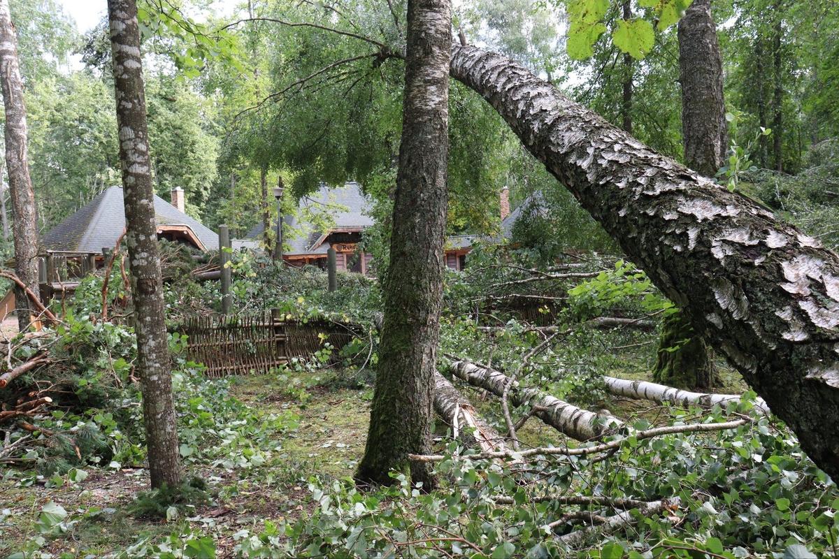 Временно закрытый парк «Тервете». Фото: Latvijas valsts mežu dabas parks Tērvetē