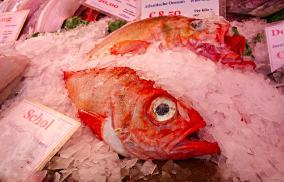 В Омане запретили импорт рыбы из Эстонии