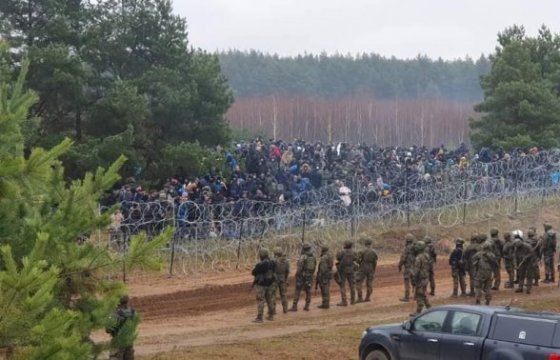 Опрос: 45% жителей Германии против приема мигрантов с белорусской границы