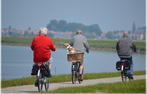 Более 83 тысяч одиноких пенсионеров в Эстонии получат пособие