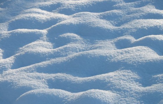 Коммунальные службы: Снегопад в Таллине продлится до утра