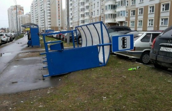 Из-за урагана в Москве погибли люди