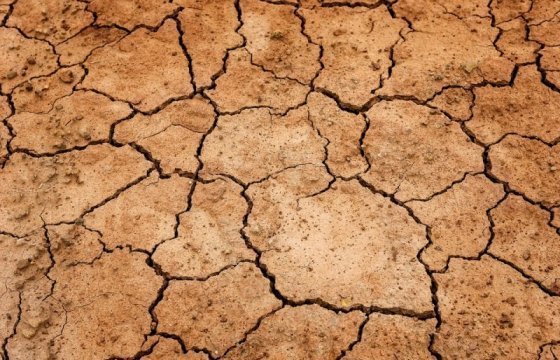 В Латвии объявят стихийное бедствие из-за засухи
