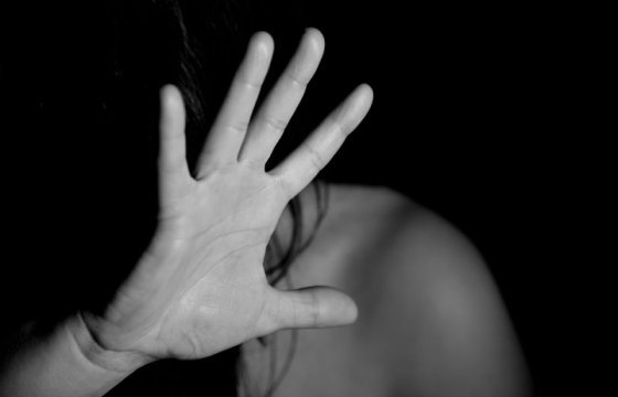 В Литве сократилось число зарегистрированных случаев насилия в семье