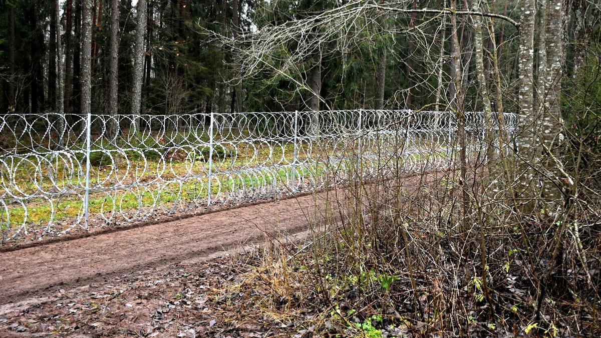 Латвия вывела на границу с Беларусью дополнительные отряды пограничников, объяснив это ростом числа мигрантов. Статистика и волонтеры никакого роста не заметили