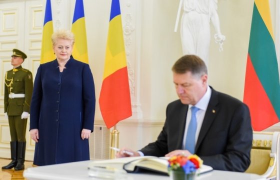 Грибаускайте: Общий интерес Румынии и Литвы — укрепление восточной границы НАТО