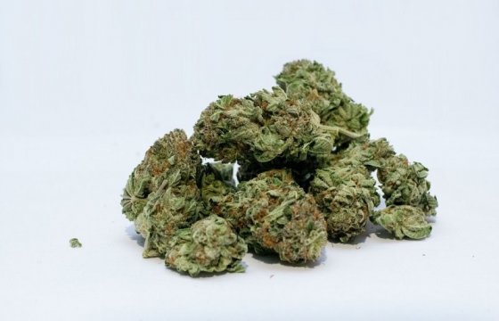 В Канаде выписали первый штраф за неправильное употребление марихуаны