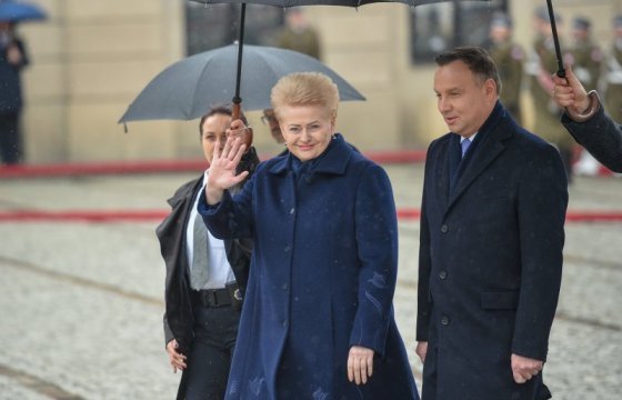 Грибаускайте не стала комментировать встречу президента Эстонии с Путиным