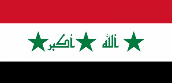 Правящий альянс Ирака выступил за введение российских войск
