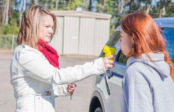 В Литве начнут иначе считать допустимое содержание алкоголя для водителей