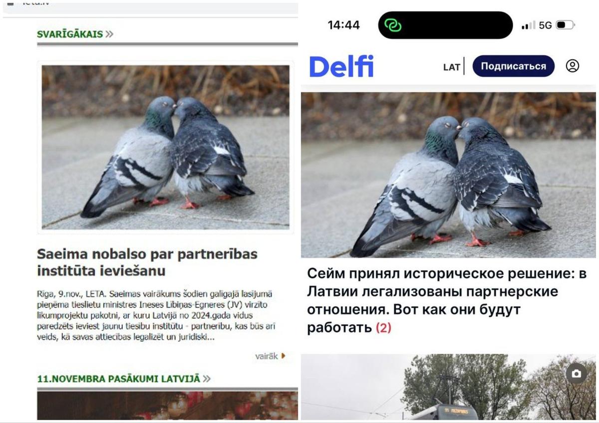 Голуби — символ любви? В Латвии приняли закон о партнерстве. Некоторые СМИ  использовали голубей в качестве иллюстрации в новостях. Что об этом думают  ЛГБТК+ активисты — Новая газета. Балтия