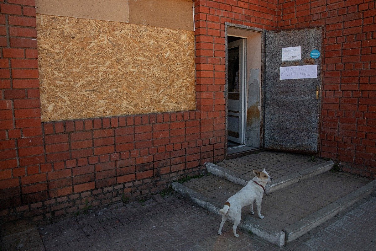Брошенная домашняя собака на центральном рынке Грайворона. Фото: Анатолий Ольшанский