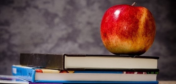 Министр образования Латвии: количество учителей может сократиться на 10-15%