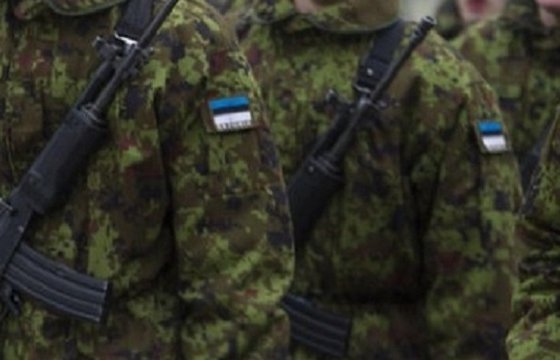 Эстония направит в Ирак военных инструкторов