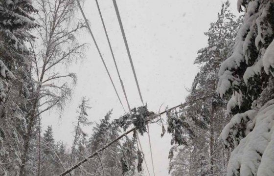 В Литве без электричества остались 55 тысяч домохозяйств