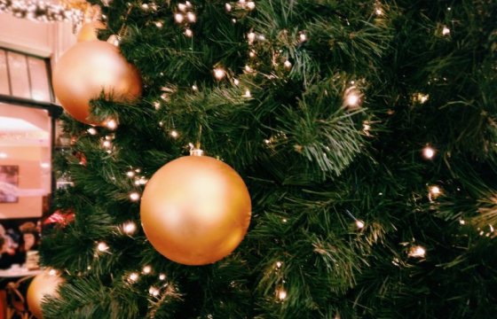 Лесная служба Литвы: цены на рождественские елки не поднимутся