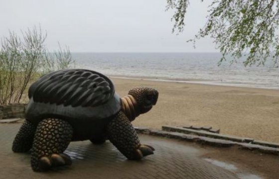 Юрмальскую черепаху продадут на аукционе