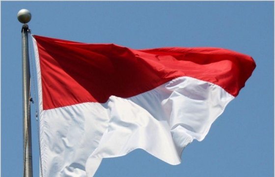 Жертвами землетрясения в Индонезии стали 54 человека