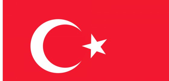 В турецком порту Самсун задержаны российские суда