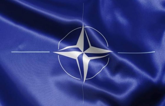 Поддержка членства Финляндии в НАТО снизилась до 23%