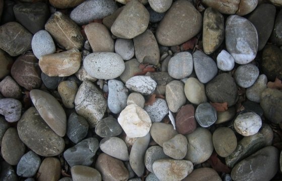 В литовской Рукле беженцев забросали камнями