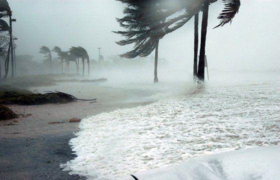 Жертвами урагана «Ирма» стали 55 человек