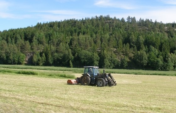 Сельское хозяйство Латвии потеряет 150 млн евро, если Россия продлит контрсанкции