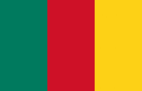 Более 70 человек погибли в результате крушения поезда в Камеруне