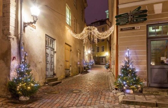 В Таллине выбрали рождественскую ель (ФОТО)