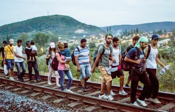 В прошлом году убежища в ЕС просили 1,25 млн человек