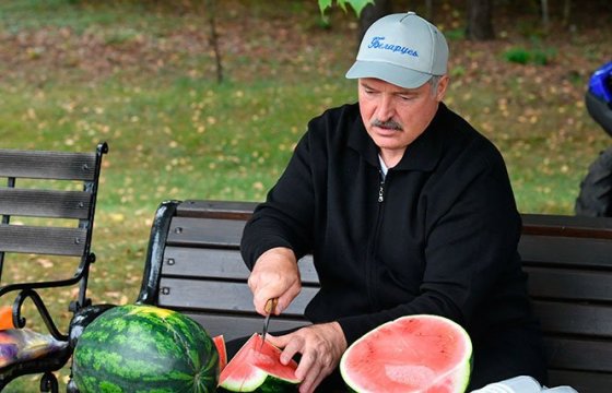 Лукашенко объяснил, почему распадаются семьи