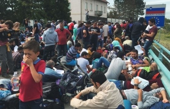 Семеро беженцев согласились переехать из Греции в Эстонию