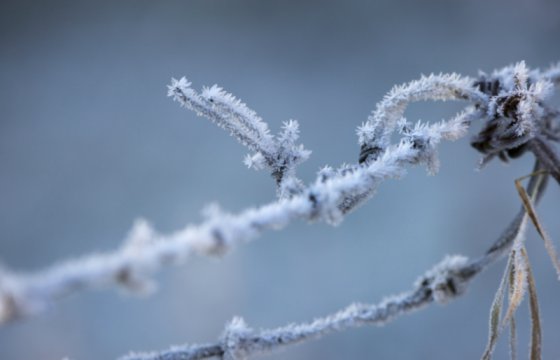 В двух латвийских города побит рекорд холода