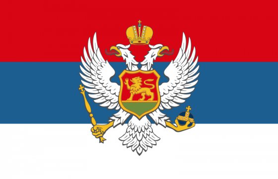 В Черногории задержали 20 сербов по подозрению в подготовке терактов