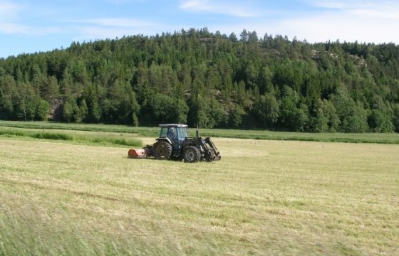 Молдова хочет сотрудничать с Эстонией в сфере сельского хозяйства