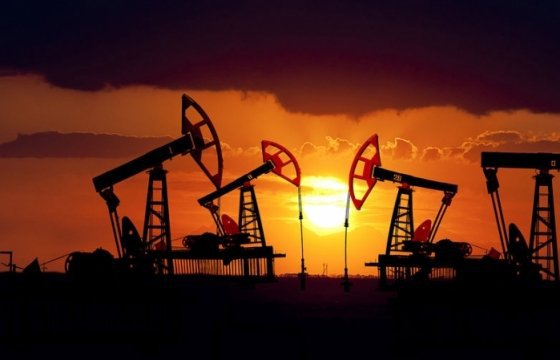 Цены на нефть начали падение из-за неудачных переговоров в Дохе