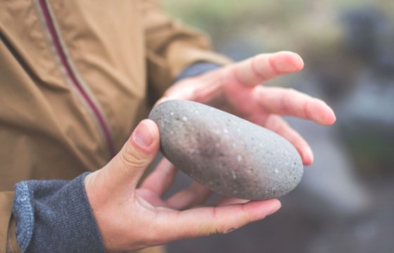 Нелегальные мигранты забросали камнями польских полицейских