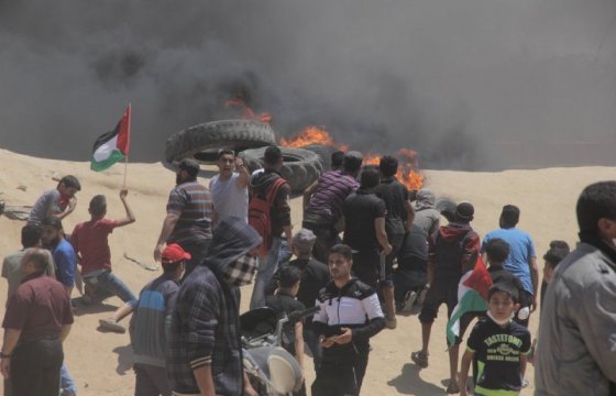 Более 50 палестинцев убиты на границе Израиля и сектора Газа