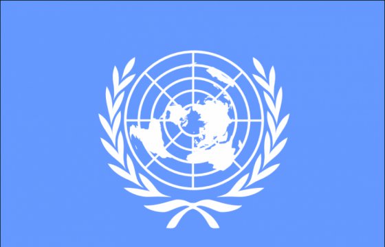 Совбез ООН единогласно принял резолюцию о международном мониторинге в Алеппо