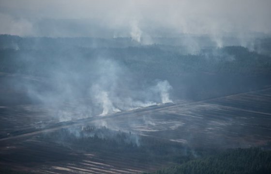 У границы Латвии и России — сильный пожар