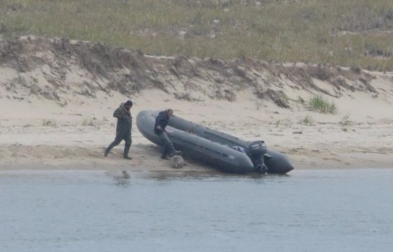 Полиция начала проверку по факту издевательств над тюленями на Сахалине