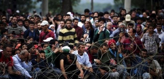 Македония строит забор от мигрантов на границе с Грецией