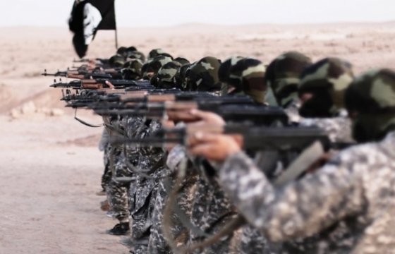 Всемирная армия джихада. История террора. Часть третья. Окончание