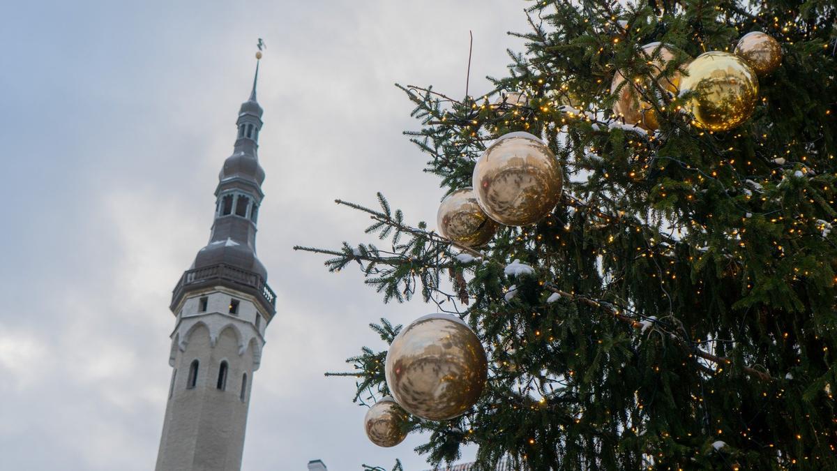 Путеводитель по предрождественскому Таллинну: самые интересные и доступные мероприятия декабря