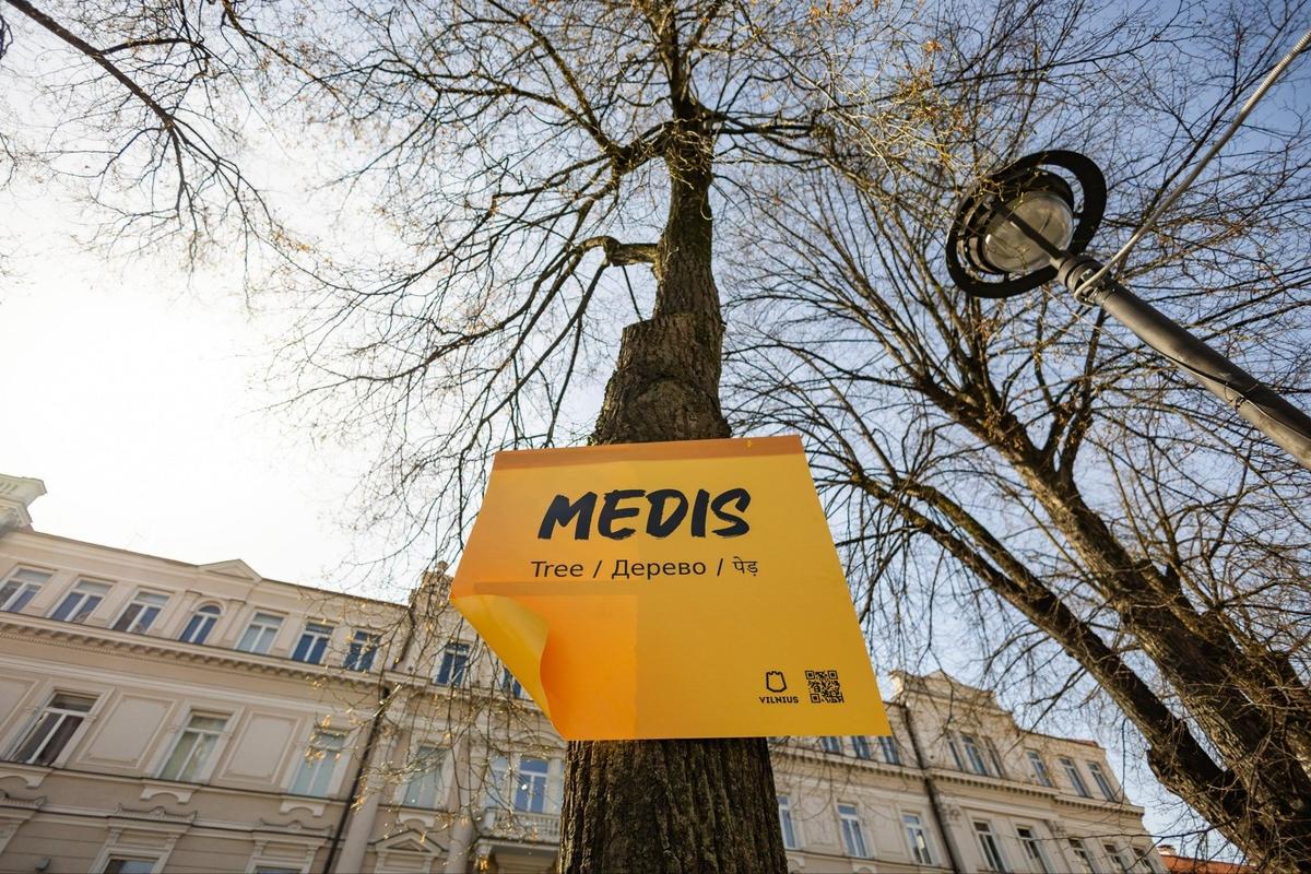 Фото: Valdas Benkunskas, Facebook