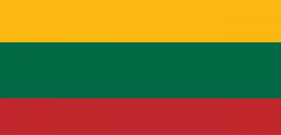 Новую стратегию национальной безопасности выработают в Литве