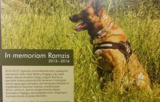 В литовский календарь со служебными собаками попал погибший Рамзис