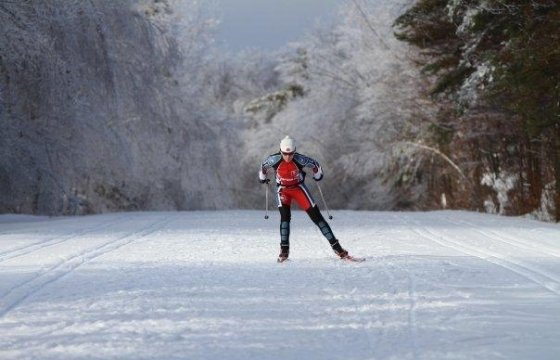 Этап Кубка мира по лыжным гонкам вновь состоится в Эстонии