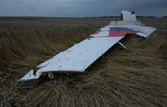 Дело MH17: один из подозреваемых готов включиться в судебный процесс в Гааге