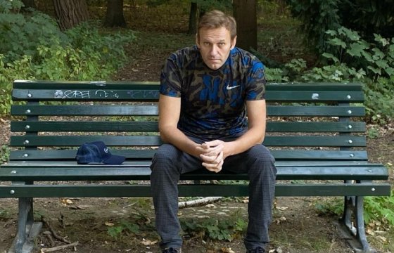 Организация по запрещению химического оружия подтвердила наличие «Новичка» в крови Навального